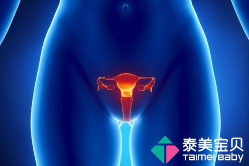 子宫小的妇女能通过试管婴儿技术成功受孕吗？