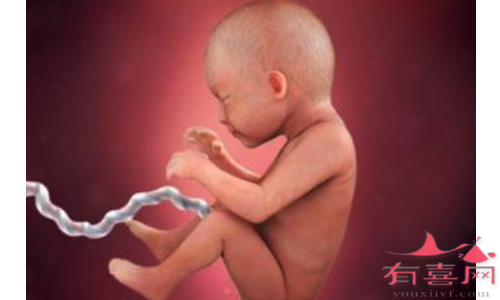 二代试管婴儿流程：三倍体的69XXY胚胎是否难以怀孕，是否必须在体外进行？(图3)
