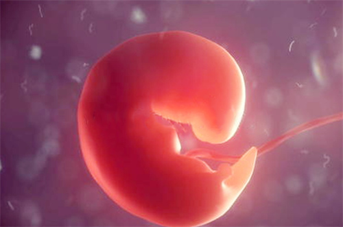 柳州52岁供卵试管助孕：看看广西的人工授精医院名单吧! 通过捐卵怀上男孩的成功案例有哪些？(图1)