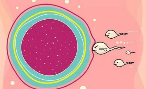 镇江供卵中介生子流程：使试管婴儿变得可怕的不是排卵期的疼痛，而是这个(图1)